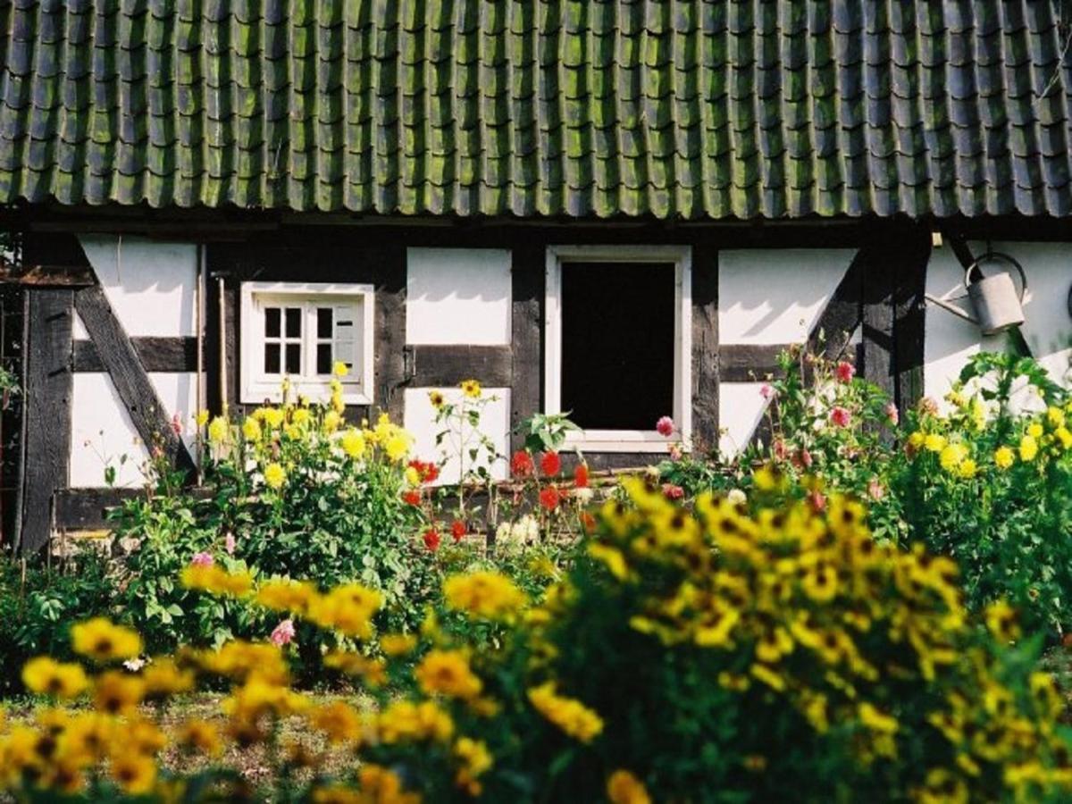 Ferienhof Richard 레네슈타트 외부 사진