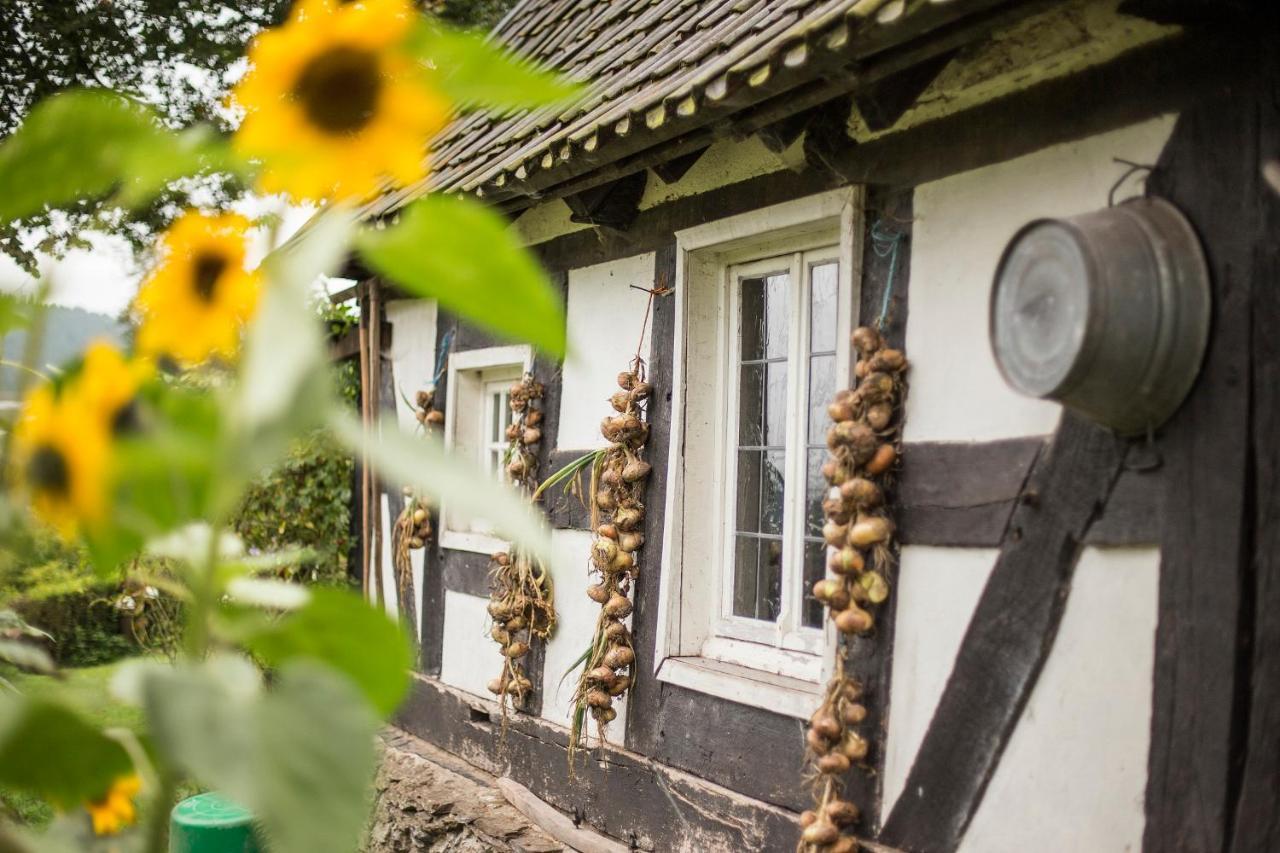 Ferienhof Richard 레네슈타트 외부 사진